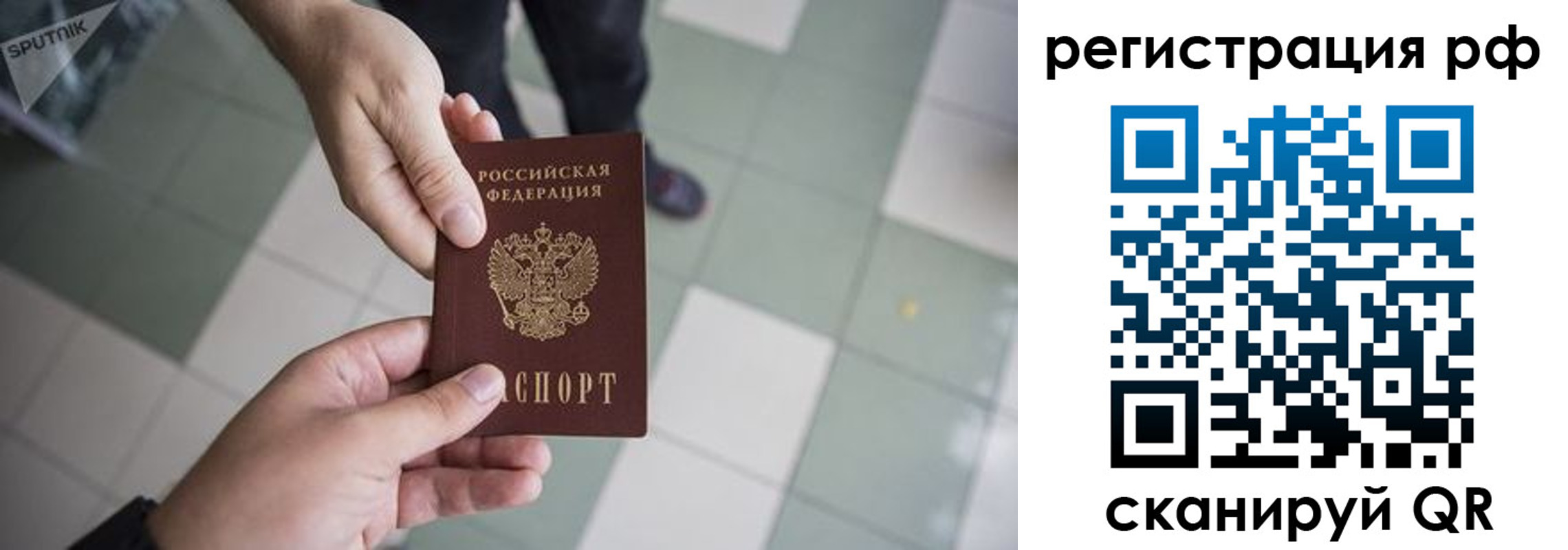 прописка гарантия в Сосновке